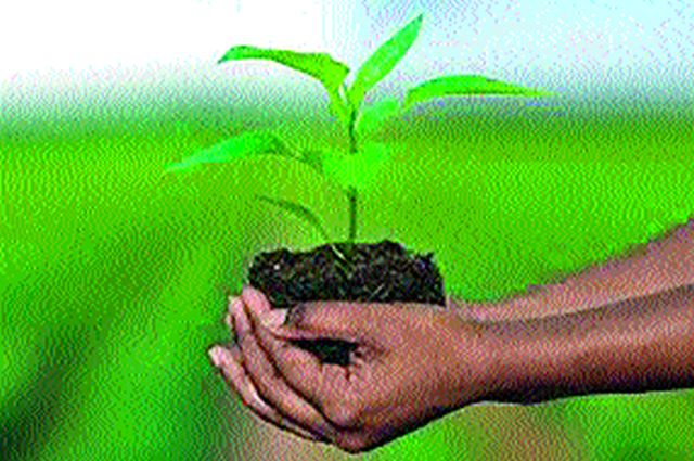 Two and a half lakh farmers got crop insurance cover | अडीच लाख शेतकऱ्यांना लाभले पीकविम्याचे कवच Two and a half lakh farmers got crop insurance cover | अडीच लाख शेतकऱ्यांना लाभले पीकविम्याचे कवच