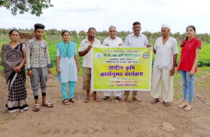 Guide farmers to spray neem extract | शेतकऱ्यांना निंबोळी अर्क फवारणी मार्गदर्शन