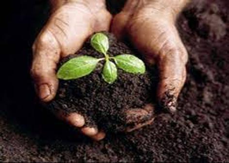 Free soil testing of four thousand farmers ... | चार हजार शेतकऱ्यांचे मोफत माती परीक्षण...