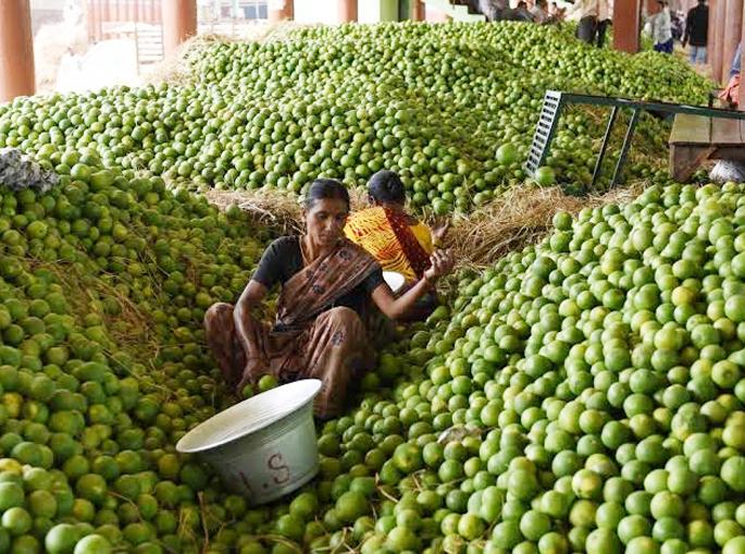 The cozy market closed for three days | मोसंबी मार्केट तीन दिवस राहणार बंद The cozy market closed for three days | मोसंबी मार्केट तीन दिवस राहणार बंद