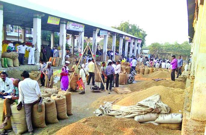 Agriculture yields get Lower prices than guaranteed; Farmers worried | शेतमालाला हमीभावापेक्षाही कमी भाव; शेतकरी ंिचंतातूर Agriculture yields get Lower prices than guaranteed; Farmers worried | शेतमालाला हमीभावापेक्षाही कमी भाव; शेतकरी ंिचंतातूर