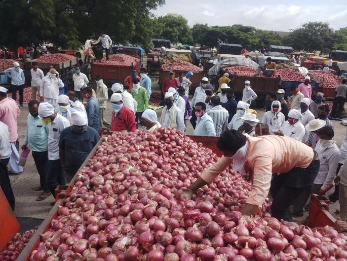 Falling onion prices | कांदा दरात घसरण Falling onion prices | कांदा दरात घसरण