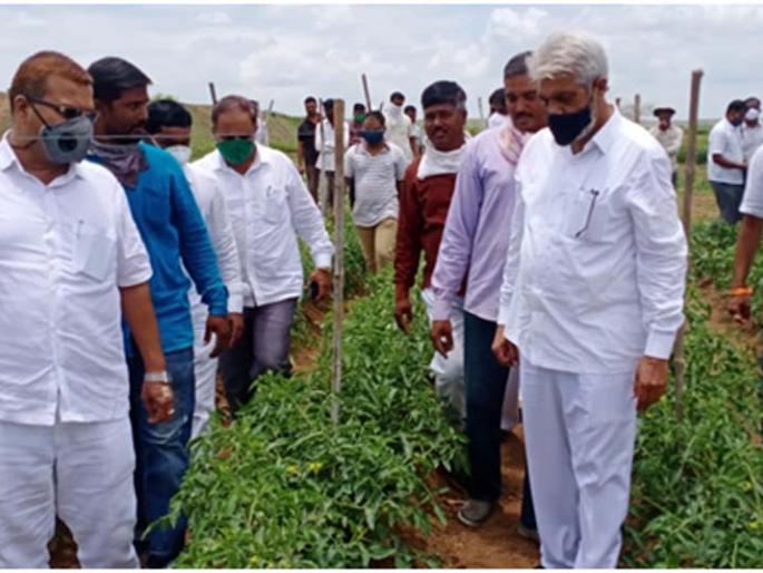 Urea shortage will not be allowed in the district | जिल्ह्यात युरिया कमी पडू देणार नाही Urea shortage will not be allowed in the district | जिल्ह्यात युरिया कमी पडू देणार नाही