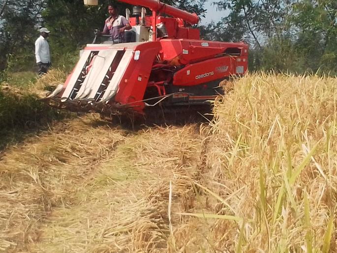 Speeding of paddy harvesting by labor intensive machines | मजूरांअभावी यंत्राद्वारे भातकाढणीला वेग Speeding of paddy harvesting by labor intensive machines | मजूरांअभावी यंत्राद्वारे भातकाढणीला वेग