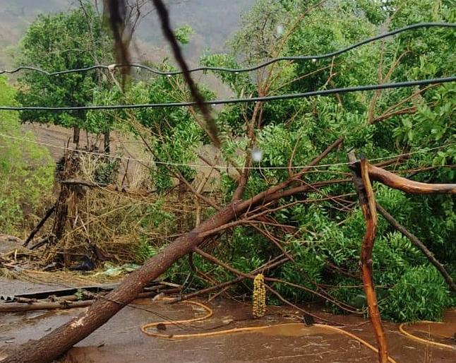 Presence of sparse rain with storm in Satpuda | सातपुड्यात वादळासह तुरळक पावसाची हजेरी Presence of sparse rain with storm in Satpuda | सातपुड्यात वादळासह तुरळक पावसाची हजेरी