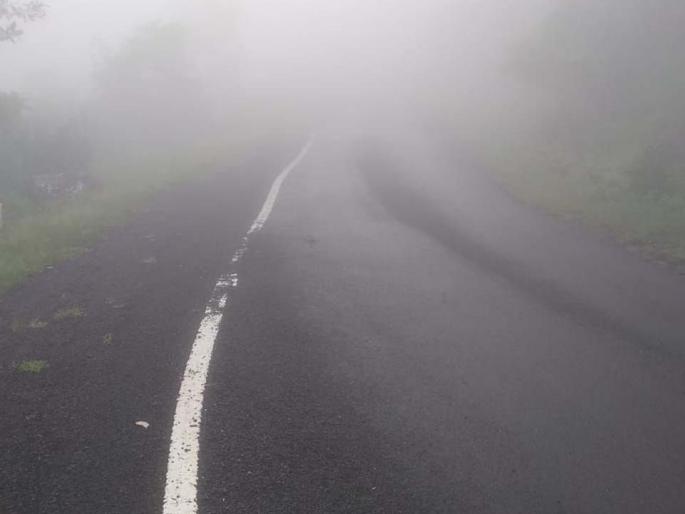 The place of cold air lost the pylon in the fog | थंड हवेचे ठिकाण तोरणमाळ हरवले धुक्यात The place of cold air lost the pylon in the fog | थंड हवेचे ठिकाण तोरणमाळ हरवले धुक्यात