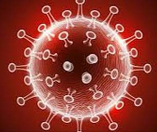 Frightened by the half-century figure | अर्धशतकी आकड्याने धास्ती Frightened by the half-century figure | अर्धशतकी आकड्याने धास्ती