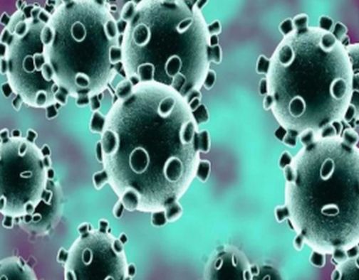 The beneficiaries of the Prime Minister's Poor Welfare Scheme will receive home remittance through post | प्रधान मंत्री गरीब कल्याण योजनेतील लाभार्थ्यांची रक्कम पोस्टामार्फत घरपोच मिळणार The beneficiaries of the Prime Minister's Poor Welfare Scheme will receive home remittance through post | प्रधान मंत्री गरीब कल्याण योजनेतील लाभार्थ्यांची रक्कम पोस्टामार्फत घरपोच मिळणार