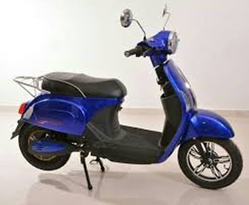 Fuel savings have made it seem like a huge e-bike ride | इंधन बचतीमुळे वाटू लागली भारी ई-बाईक ठरतेय शान की सवारी