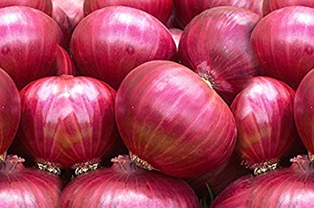 Angered by the ban on export of onion exports | कांदा निर्यातीवरील अनुदान बंद केल्यामुळे नाराजी Angered by the ban on export of onion exports | कांदा निर्यातीवरील अनुदान बंद केल्यामुळे नाराजी