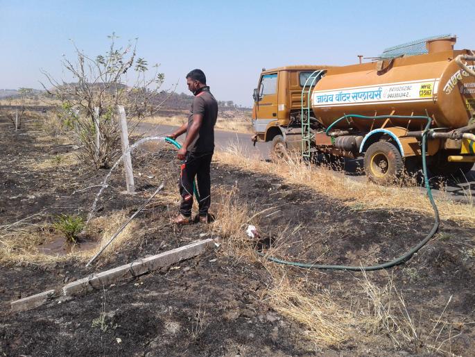 Satara: Promotion of trees on one side; On the other hand, there is an increase in the incidence of fire incidents | सातारा : एकीकडे झाडांचे संवर्धन; दुसरीकडे वणवा, आगी लावण्याच्या घटनात वाढ Satara: Promotion of trees on one side; On the other hand, there is an increase in the incidence of fire incidents | सातारा : एकीकडे झाडांचे संवर्धन; दुसरीकडे वणवा, आगी लावण्याच्या घटनात वाढ