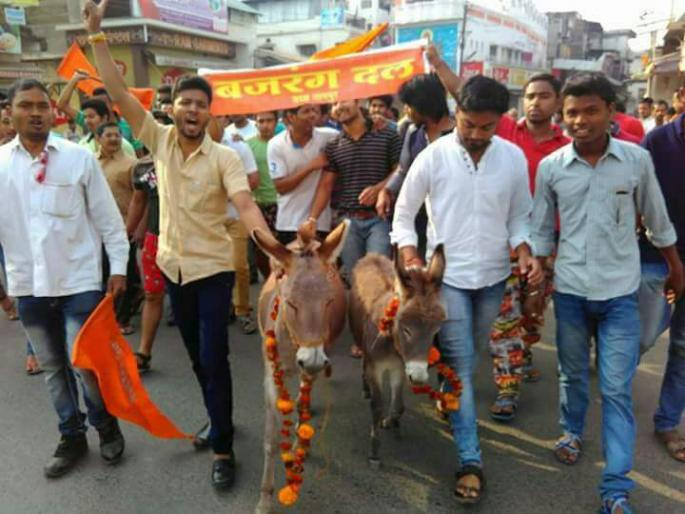 Veer Bajrangi Dal organized marriage of donkeys in Nagpur | नागपुरात वीर बजरंगी दलाने लावले गाढवांचे लग्न Veer Bajrangi Dal organized marriage of donkeys in Nagpur | नागपुरात वीर बजरंगी दलाने लावले गाढवांचे लग्न