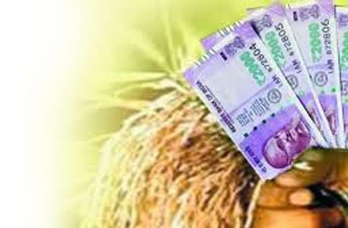 Buldana: Only 10% of farmers renewed crop loans | बुलडाणा : १० टक्के शेतकऱ्यांनीच केले पीक कर्जाचे नुतनीकरण Buldana: Only 10% of farmers renewed crop loans | बुलडाणा : १० टक्के शेतकऱ्यांनीच केले पीक कर्जाचे नुतनीकरण