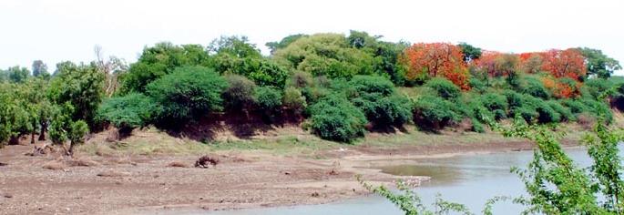 Parbhani: The development plan of Jambhulbet is stalking | परभणी: जांभूळबेटाचा विकास आराखडा अडकला Parbhani: The development plan of Jambhulbet is stalking | परभणी: जांभूळबेटाचा विकास आराखडा अडकला