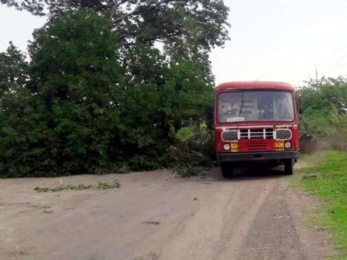 Parbhani: The wind damaged the tree near the stone | परभणी : पाथरीजवळ वाऱ्याने कोसळले झाड