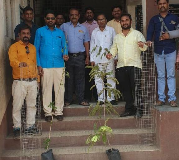 Damduput tree scheme for tree conservation | वृक्ष संवर्धनासाठी अमळनेरात दामदुप्पट वृक्ष योजना Damduput tree scheme for tree conservation | वृक्ष संवर्धनासाठी अमळनेरात दामदुप्पट वृक्ष योजना