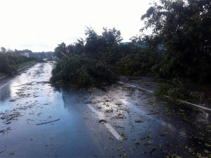 The walls fell down .. the trees disappeared! In Satara district, due to heavy rain | भिंती पडल्या.. झाडे उन्मळली ! सातारा जिल्'ात मुसळधार पावसामुळे हाहाकार The walls fell down .. the trees disappeared! In Satara district, due to heavy rain | भिंती पडल्या.. झाडे उन्मळली ! सातारा जिल्'ात मुसळधार पावसामुळे हाहाकार
