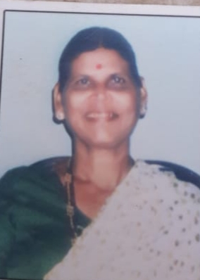 My - Leka's death due to electric shock | विजेचा शॉक लागून माय- लेकाचा मृत्यू My - Leka's death due to electric shock | विजेचा शॉक लागून माय- लेकाचा मृत्यू