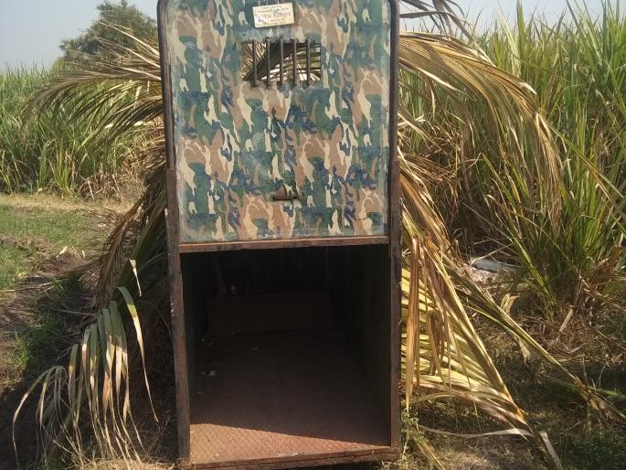 Flinging Dish Dish | बिबट्याची पिंजऱ्याला हुलकावणी Flinging Dish Dish | बिबट्याची पिंजऱ्याला हुलकावणी