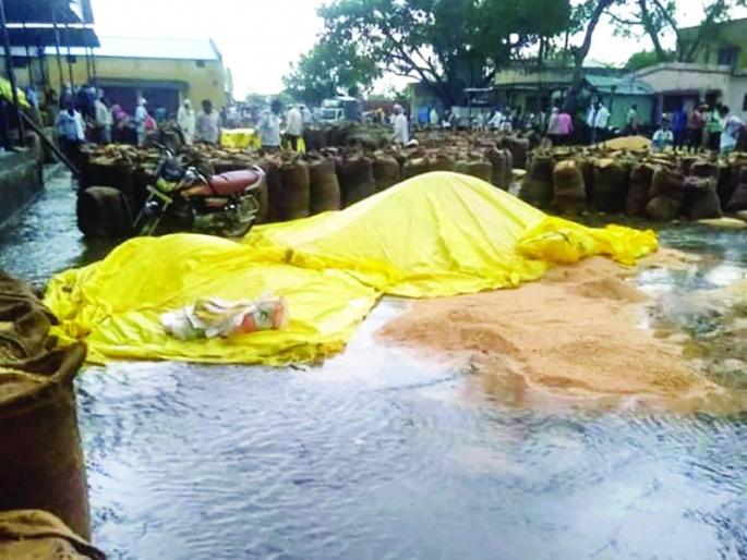 Unseasonal rains in Washim district; The farm got wet | वाशिम जिल्ह्यात अवकाळी पावसाचे थैमान; शेतमाल भिजला Unseasonal rains in Washim district; The farm got wet | वाशिम जिल्ह्यात अवकाळी पावसाचे थैमान; शेतमाल भिजला