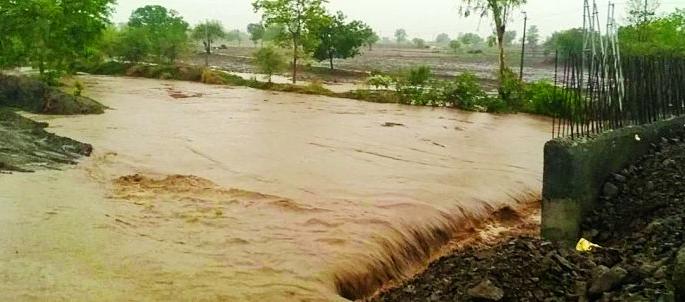 Rain in Washim district; The storm uprooted trees, disrupted power supply | वाशिम जिल्ह्यात पाऊस; वादळामुळे झाडे उन्मळून पडली, वीजपुरवठा खंडीत