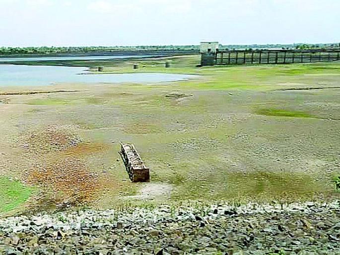 The dams in Washim is dry; Fishery business found in trouble! | धरणे कोरडीच; मत्स्यव्यवसाय सापडला संकटात! The dams in Washim is dry; Fishery business found in trouble! | धरणे कोरडीच; मत्स्यव्यवसाय सापडला संकटात!