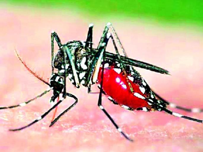 The only solution is the efficiency | दक्षता हीच खरी उपाययोजना The only solution is the efficiency | दक्षता हीच खरी उपाययोजना