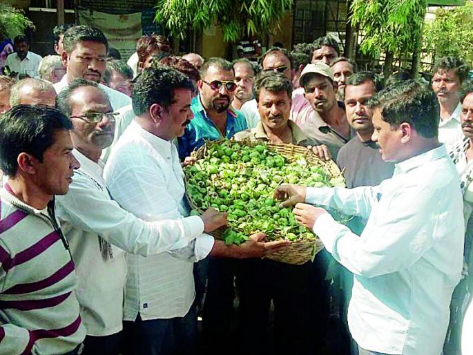 Chief Minister meets tahsiladaram cottage cotton bonda | तहसीलदारामार्फत मुख्यमंत्र्यांना अळीयुक्त कापूस बोंडाची भेट Chief Minister meets tahsiladaram cottage cotton bonda | तहसीलदारामार्फत मुख्यमंत्र्यांना अळीयुक्त कापूस बोंडाची भेट