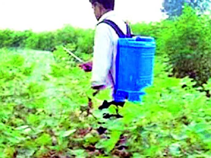 110 people poisoned in the district | जिल्ह्यातील ११० जणांना विषबाधा 110 people poisoned in the district | जिल्ह्यातील ११० जणांना विषबाधा