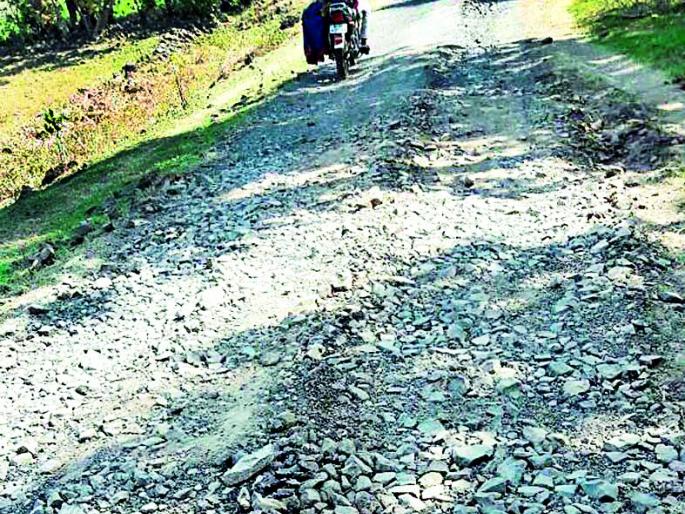 Umri-Linga road disaster | उमरी-लिंगा रस्त्याची दुरवस्था  Umri-Linga road disaster | उमरी-लिंगा रस्त्याची दुरवस्था