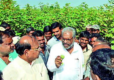 The companies will file a criminal case | कंपन्यावर गुन्हा दाखल करणार The companies will file a criminal case | कंपन्यावर गुन्हा दाखल करणार