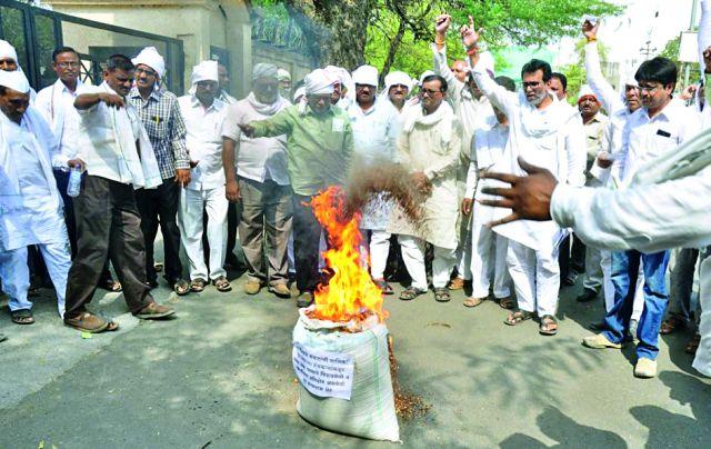 Farmers from Pellett Ture near District Cemetery | शेतकऱ्यांनी जिल्हा कचेरीपुढे पेटविली तूर