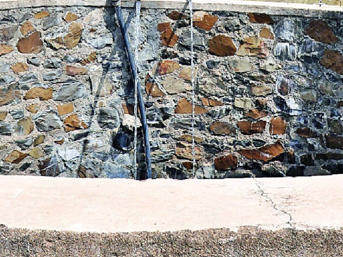 JN Park kept the ideal of water scarcity | पाणीटंचाईत जेएन पार्कने ठेवला नवा आदर्श JN Park kept the ideal of water scarcity | पाणीटंचाईत जेएन पार्कने ठेवला नवा आदर्श