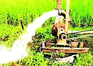 10 thousand farming power connections pending | १० हजार कृषिपंप वीज जोडण्या प्रलंबित 10 thousand farming power connections pending | १० हजार कृषिपंप वीज जोडण्या प्रलंबित