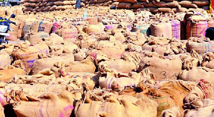 Market committees 'housefull' as soybeans arrive | सोयाबीनची आवक वाढल्याने बाजार समित्या ‘हाऊसफुल्ल’ Market committees 'housefull' as soybeans arrive | सोयाबीनची आवक वाढल्याने बाजार समित्या ‘हाऊसफुल्ल’