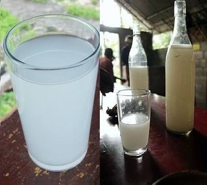 Permanent revocation of licenses 12 vendors selling adulterated toddy in Pune district | पुणे जिल्ह्यातील भेसळयुक्त ताडी विक्री करणाऱ्या 12 विक्रेत्यांचे परवाने कायमस्वरुपी रद्द