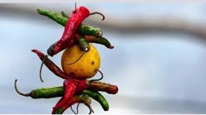 The astrological opposition to the astrological convention | ज्योतिष अधिवेशनाला अंनिसचा विरोध The astrological opposition to the astrological convention | ज्योतिष अधिवेशनाला अंनिसचा विरोध