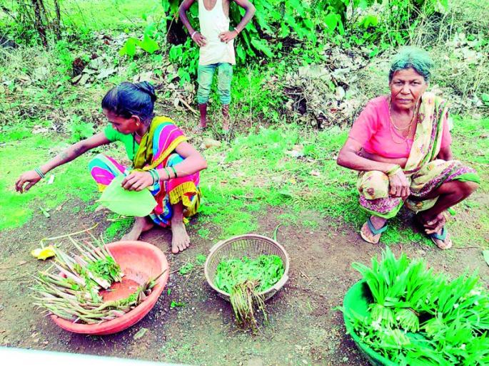 Take a look at these immune-boosting vegetables ... | रोगप्रतिकारक शक्ती वाढवणाऱ्या या रानभाज्या एकदा खाऊन तर पहा... Take a look at these immune-boosting vegetables ... | रोगप्रतिकारक शक्ती वाढवणाऱ्या या रानभाज्या एकदा खाऊन तर पहा...