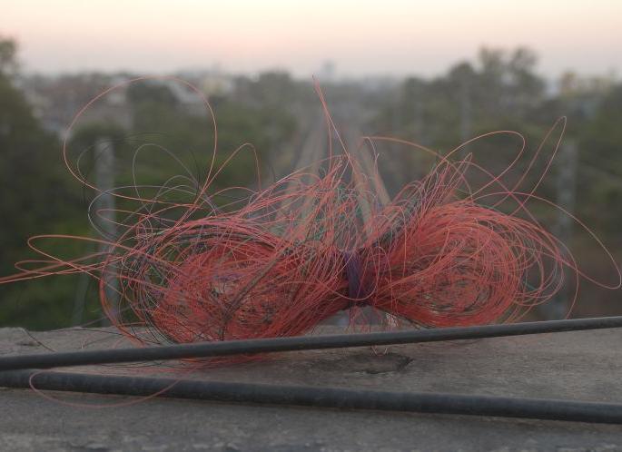 How is it that nylon treads are sold when they are banned? High Court | बंदी असताना नायलाॅन मांजा विकला जाताेच कसा? उच्च न्यायालयाचे खडेबाेल How is it that nylon treads are sold when they are banned? High Court | बंदी असताना नायलाॅन मांजा विकला जाताेच कसा? उच्च न्यायालयाचे खडेबाेल