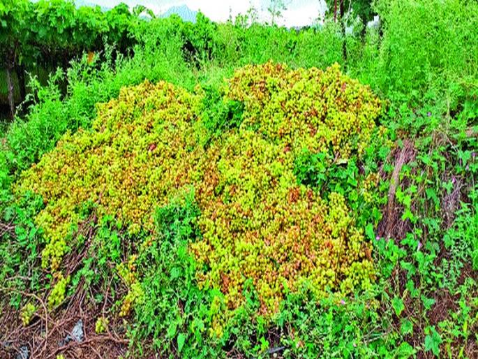  Waiting for farmers to be compensated | शेतकऱ्यांना नुकसानभरपाईची प्रतीक्षा