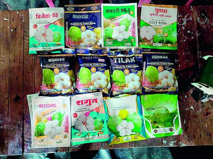 'Printing' in Wardha on blank 'Gujarat' packets; Bogus seeds in the name of 14 reputable companies | ‘गुजरात’च्या रिकाम्या पाकिटांवर वर्ध्यात ‘प्रिंटिंग’; १४ नामांकित कंपन्यांच्या नावे बोगस बियाणे 'Printing' in Wardha on blank 'Gujarat' packets; Bogus seeds in the name of 14 reputable companies | ‘गुजरात’च्या रिकाम्या पाकिटांवर वर्ध्यात ‘प्रिंटिंग’; १४ नामांकित कंपन्यांच्या नावे बोगस बियाणे