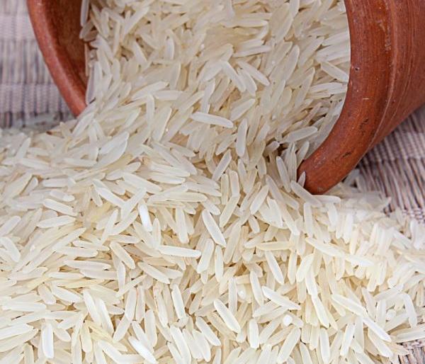 Chomorshi rice has reached Madhya Pradesh and Chhattisgarh state | चामोर्शीतील तांदूळ पोहोचला मध्यप्रदेश व छत्तीसगड राज्यात Chomorshi rice has reached Madhya Pradesh and Chhattisgarh state | चामोर्शीतील तांदूळ पोहोचला मध्यप्रदेश व छत्तीसगड राज्यात