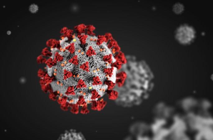 99 persons tested positive in 15 days in Bhandara district | भंडारा जिल्ह्यात १५ दिवसात ९९ व्यक्ती पॉझिटिव्ह