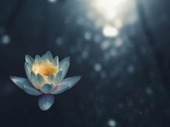 Spiritual; Enjoy this life, like sweeteners .. | अध्यात्मिक; आनंद या जीवनाचा, सुगंधापरि दरवळावा .. Spiritual; Enjoy this life, like sweeteners .. | अध्यात्मिक; आनंद या जीवनाचा, सुगंधापरि दरवळावा ..