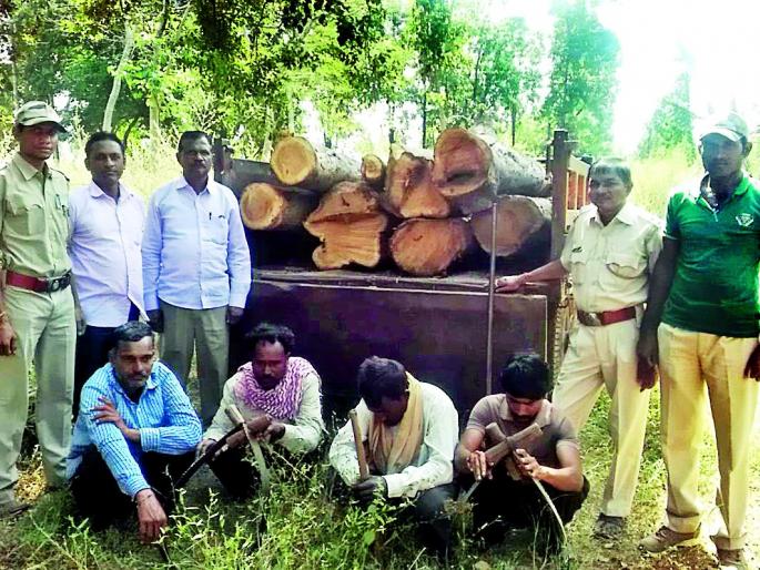 Smuggling of Teak wood from Chandrapur forest | चंद्रपूरच्या जंगलातून सागवान लाकडांची तस्करी Smuggling of Teak wood from Chandrapur forest | चंद्रपूरच्या जंगलातून सागवान लाकडांची तस्करी