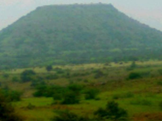 Satyagraha was the first forest in 1959 | १९३० मध्ये झाला पहिला जंगल सत्याग्रह Satyagraha was the first forest in 1959 | १९३० मध्ये झाला पहिला जंगल सत्याग्रह