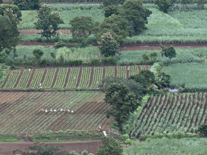 Gaganbawda, Chandgad, heavy rains in Ajara | गगनबावडा, चंदगड, आजऱ्यात अतिवृष्टी, नद्यांच्या पाणी पातळीत वाढ Gaganbawda, Chandgad, heavy rains in Ajara | गगनबावडा, चंदगड, आजऱ्यात अतिवृष्टी, नद्यांच्या पाणी पातळीत वाढ