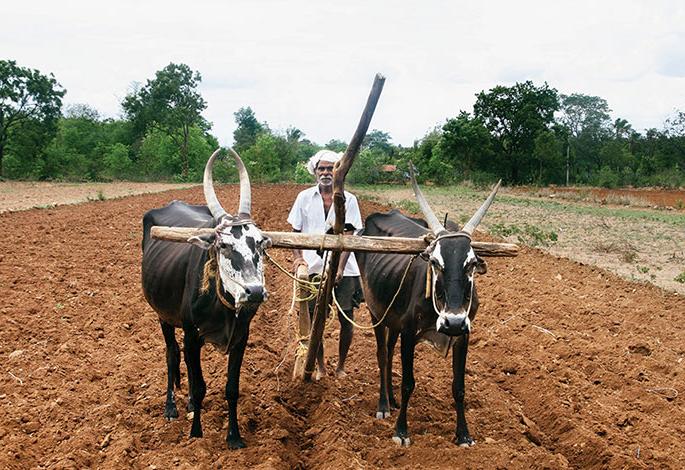 How to farm due to increase in farm labor rates? | शेतमजुरांचे दर वाढल्याने शेती करायची कशी? How to farm due to increase in farm labor rates? | शेतमजुरांचे दर वाढल्याने शेती करायची कशी?