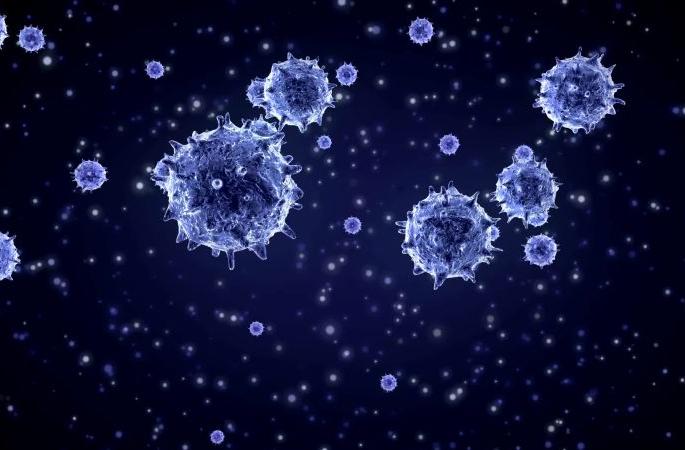 Marathwada, Vidarbha has less deaths of corona victims than Khandesh | मराठवाडा, खानदेशाच्या तुलनेत विदर्भात मृत्यू कमी