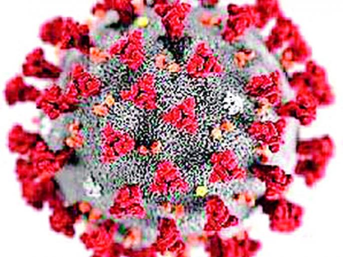 The wedding ceremony was the reason for the spread of Corona | लग्न सोहळा ठरला कोरोना प्रसाराचे कारण The wedding ceremony was the reason for the spread of Corona | लग्न सोहळा ठरला कोरोना प्रसाराचे कारण